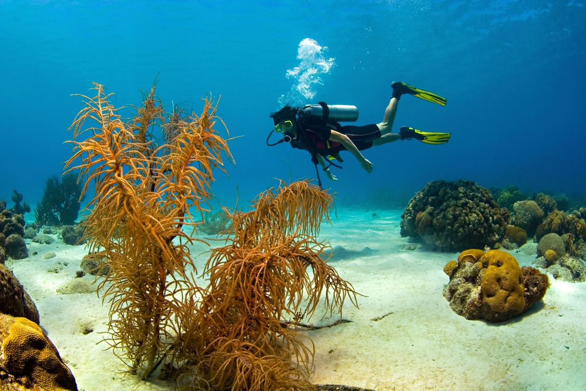 Marmaris Scuba Diving